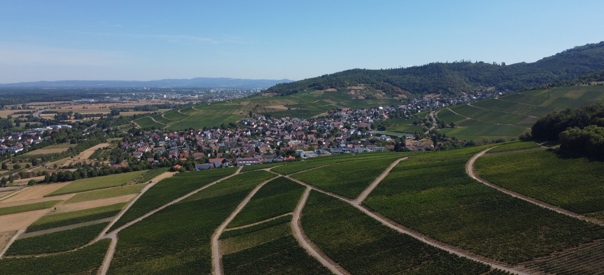 Logopädische Therapie